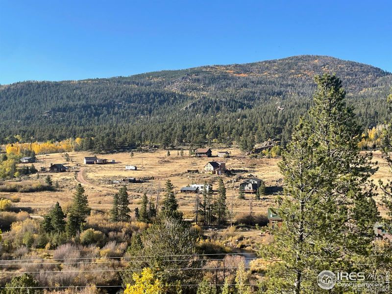 90 Kispoko Ct, Red Feather Lakes, CO 80545