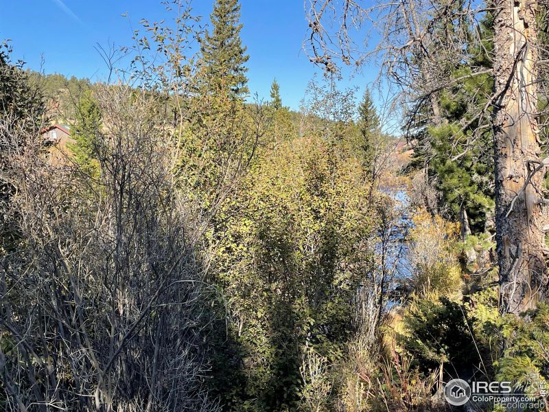 90 Kispoko Ct, Red Feather Lakes, CO 80545