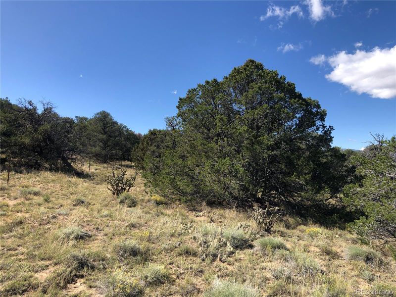 lot 932 Rio Cucharas Phs 3 Lot 932, Walsenburg, CO 81089