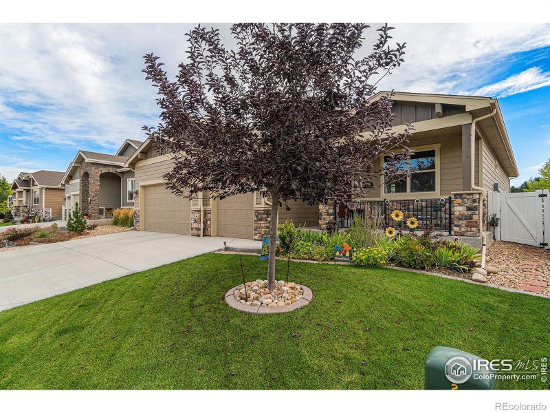 712 Vermilion Peak Ct, Windsor, CO 80550