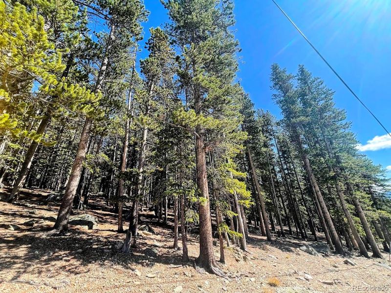 0 Fall River Rd, Idaho Springs, CO 80452