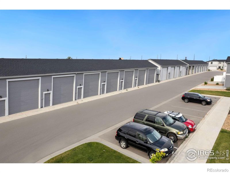 288 E Chestnut St #4, Windsor, CO 80550