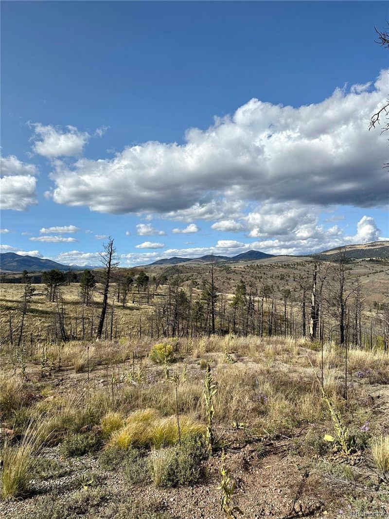 1833 Duffy Ln, Fort Garland, CO 81133