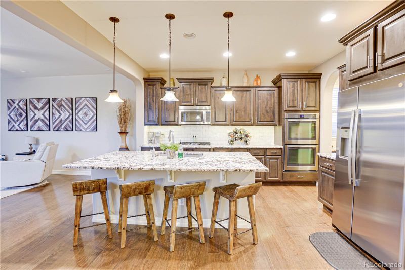 4288 Manorbrier Ct, Castle Rock, CO 80104