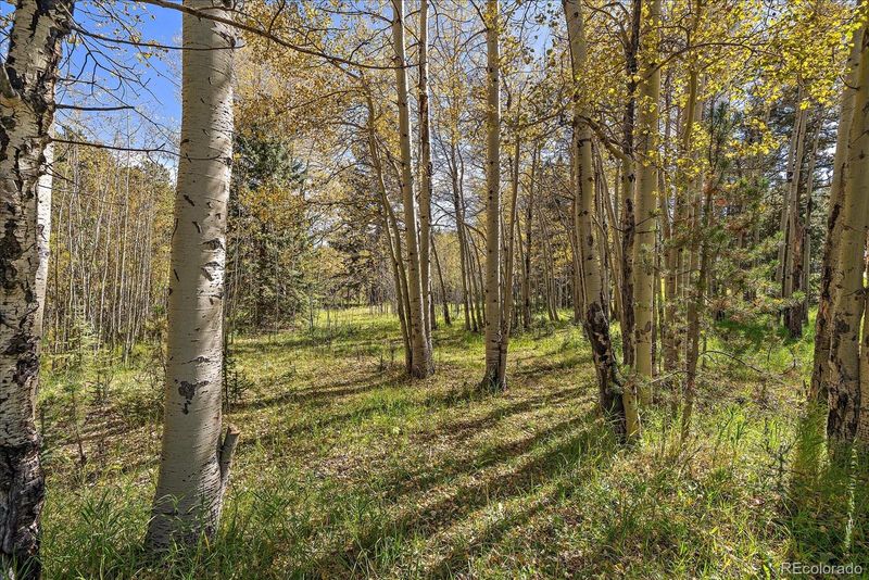 00000 Shadow Mountain Dr, Conifer, CO 80433