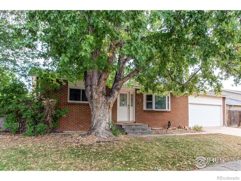 903 Woodbine Dr, Windsor, CO 80550