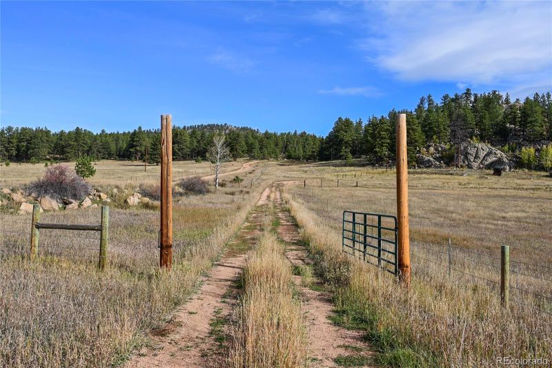 37026 County Rd 77, Lake George, CO 80827