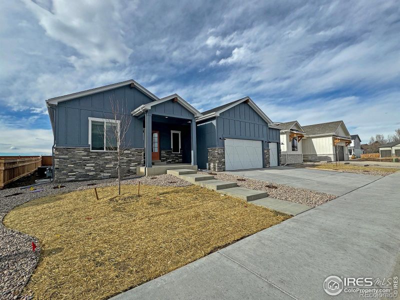 842 Canoe Birch Dr, Windsor, CO 80550