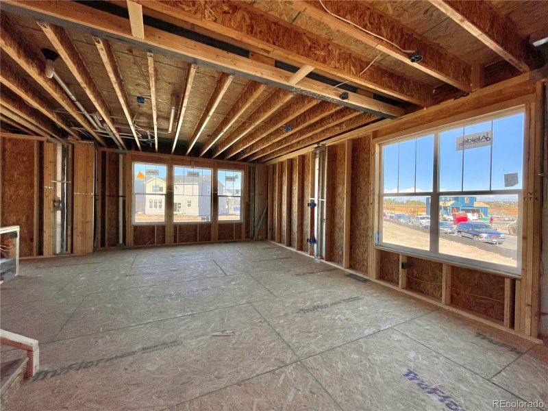 5538 Fleur De Lis Ln, Timnath, CO 80547