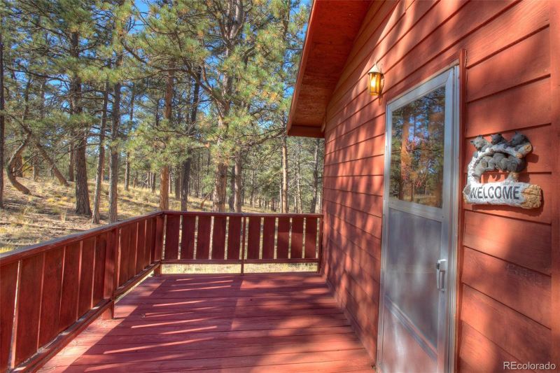 255 Freeman Dr, Florissant, CO 80816