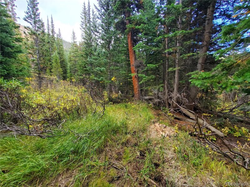 Canyon Cir Lot 72, Idaho Springs, CO 80452