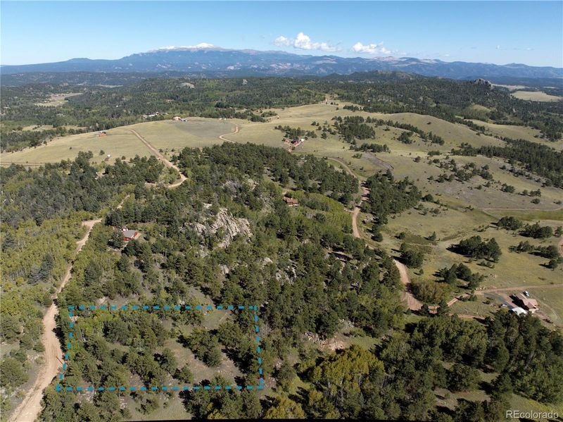 614 Castle Mountain Dr, Guffey, CO 80820