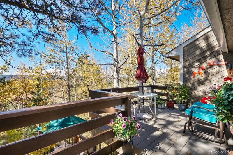 1140 Forest Edge Rd, Woodland Park, CO 80863