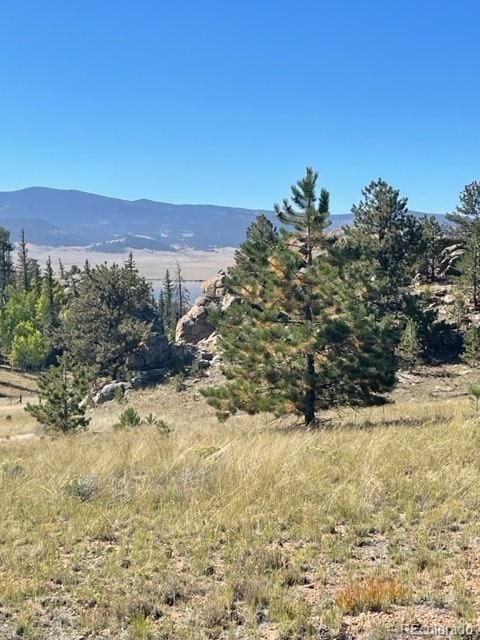 274 Whale Dr, Lake George, CO 80827