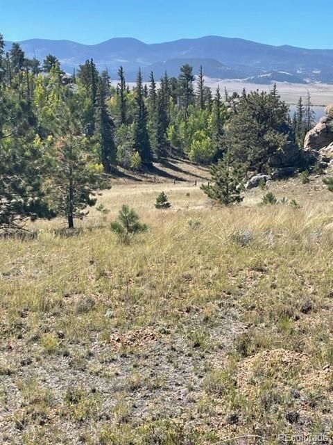274 Whale Dr, Lake George, CO 80827