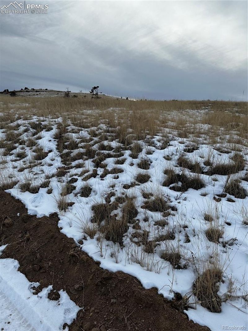 222 W Whalen Ave, Cripple Creek, CO 80813