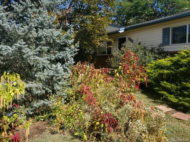 3440 W 95th Ave, Westminster, CO 80031
