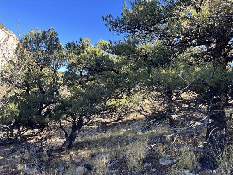 Tbd Chalk Creek Dr Lot 1, Nathrop, CO 81236