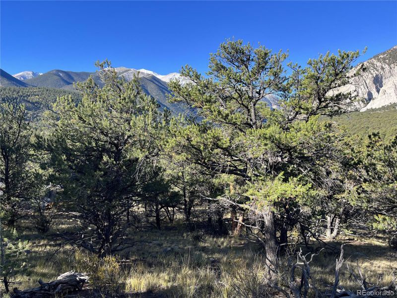Tbd Chalk Creek Dr Lot 1, Nathrop, CO 81236