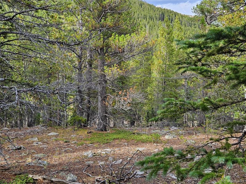 Lot 278 Lower Forest Rd, Idaho Springs, CO 80452