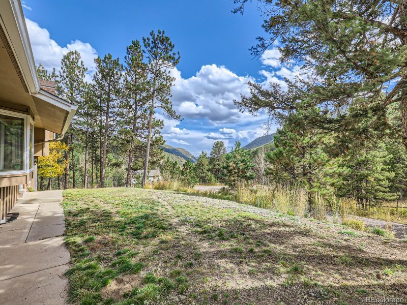 24697 Red Cloud Dr, Conifer, CO 80433