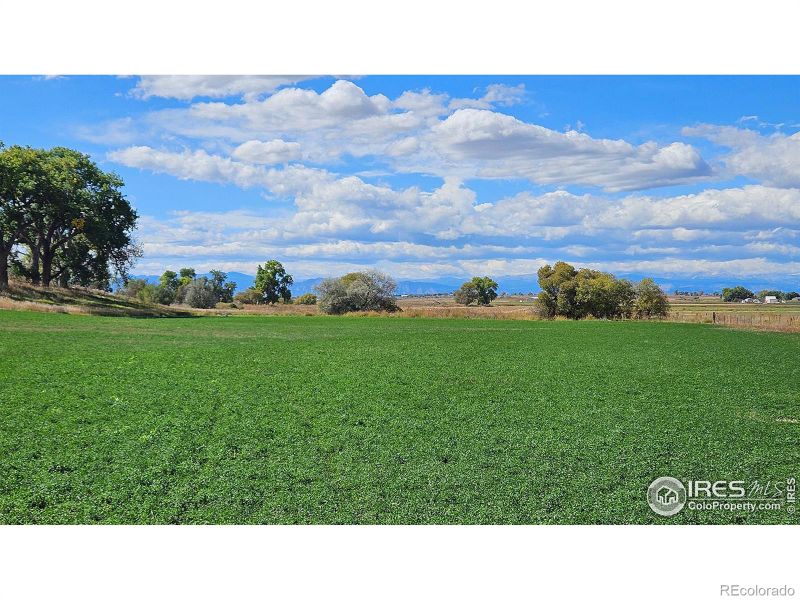 9703 County Road 6, Fort Lupton, CO 80621