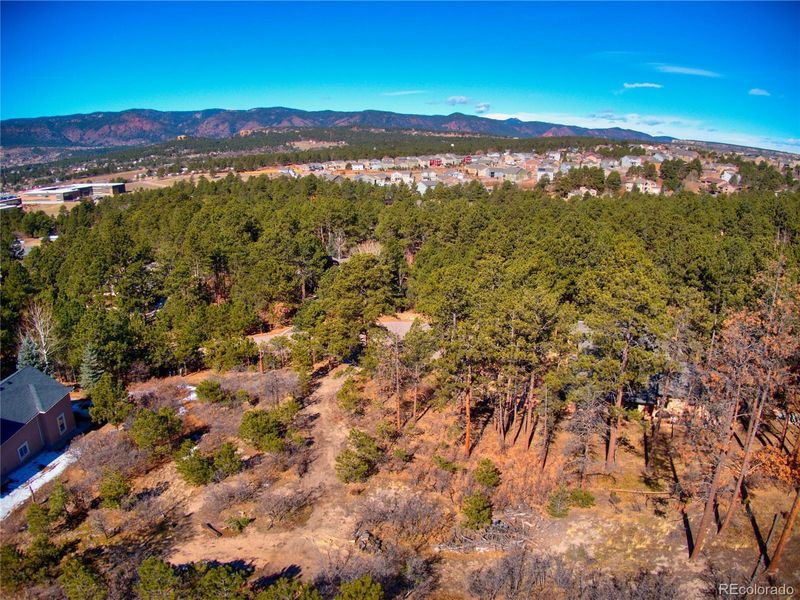 19403 Wildwood Way, Monument, CO 80132
