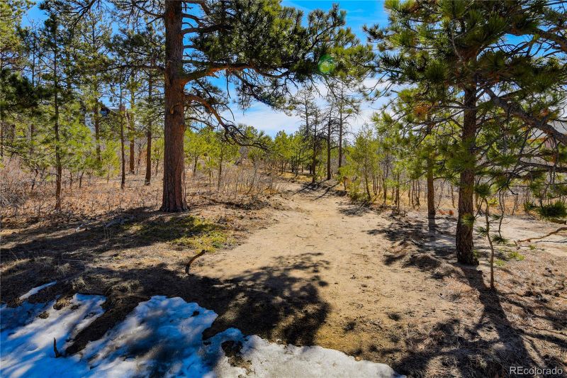 19403 Wildwood Way, Monument, CO 80132