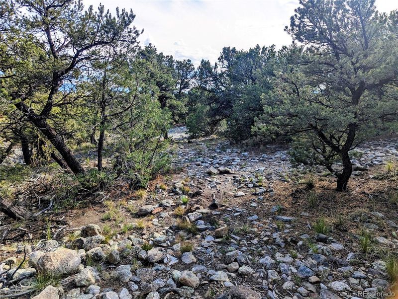 Lot 7 Nn 19th St, Blanca, CO 81123