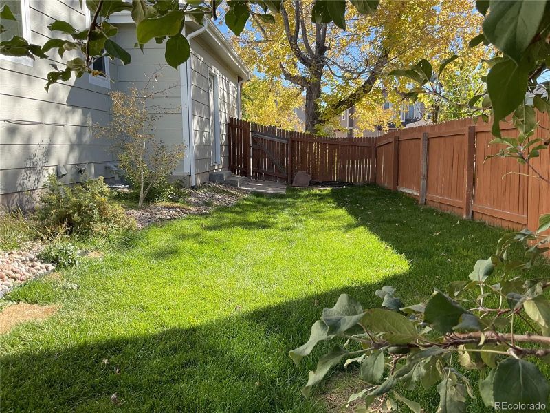 10769 Appaloosa Ct, Parker, CO 80134