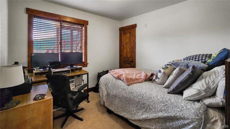 2080 County Road 4, Alma, CO 80420