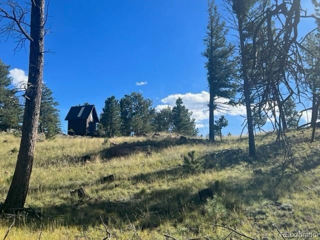 493 Apache Rd Lot 111, Florissant, CO 80816
