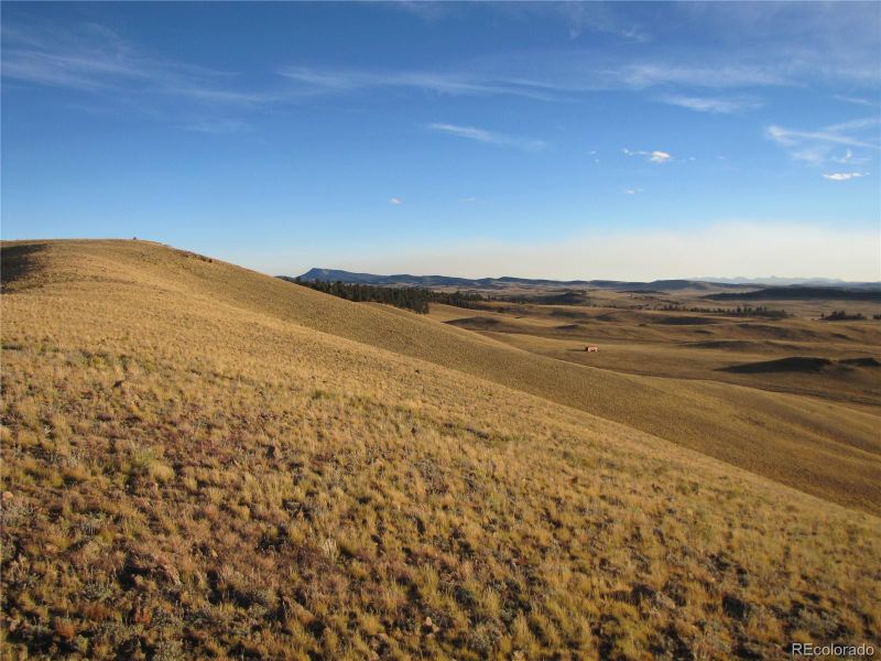 00 Kiowa Rd, Hartsel, CO 80449