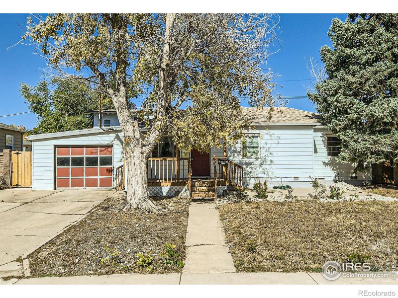 2041 Oak Pl, Thornton, CO 80229