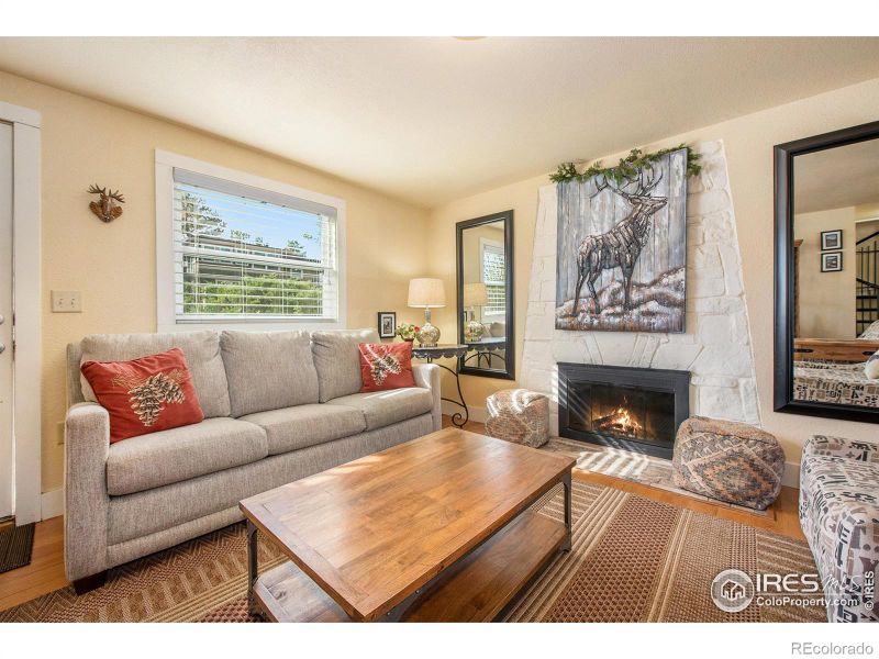 330 Virginia Dr, Estes Park, CO 80517