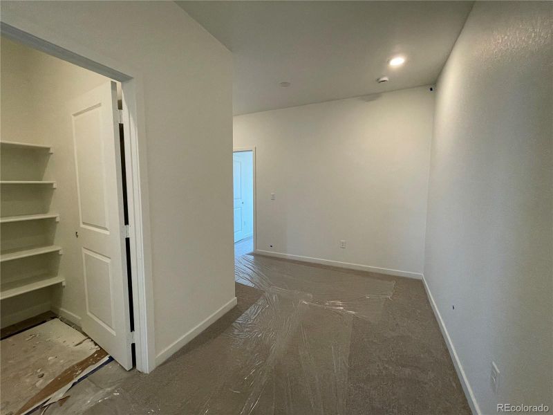 5494 Euclid Dr, Timnath, CO 80547