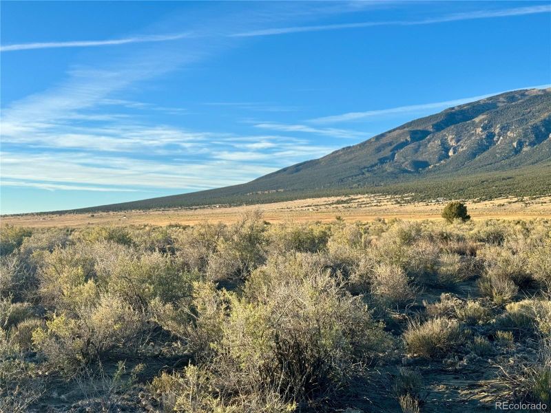 13 Th St, Blanca, CO 81123
