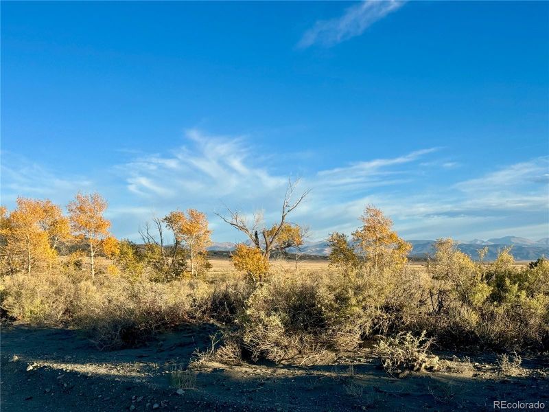 13 Th St, Blanca, CO 81123