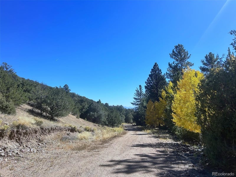 52535 County Road Ll56, Villa Grove, CO 81155