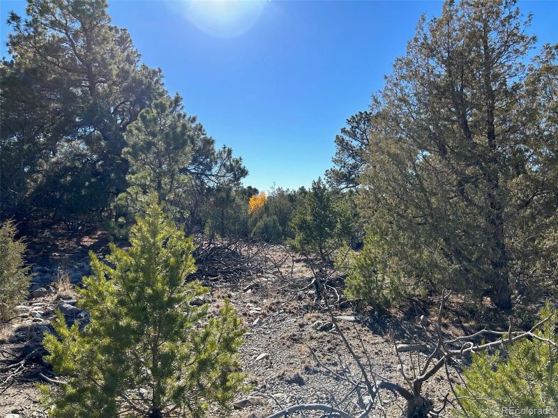 25 Pioneer Rd, Mosca, CO 81144