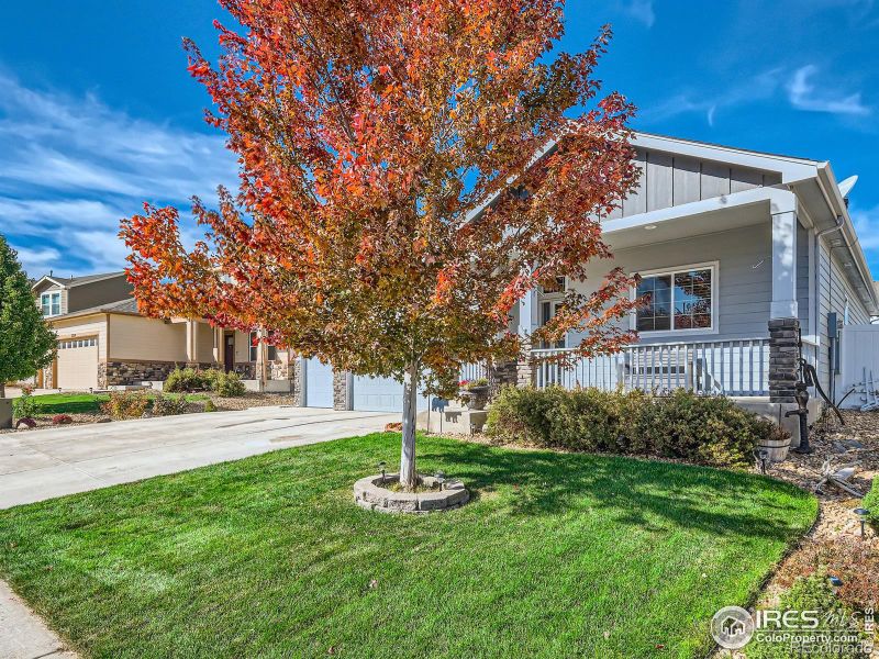 2209 74th Ave Ct, Greeley, CO 80634