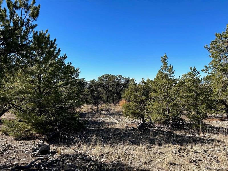 62 Mill Rn, Alamosa, CO 81101