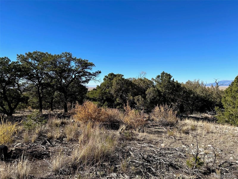 62 Mill Rn, Alamosa, CO 81101