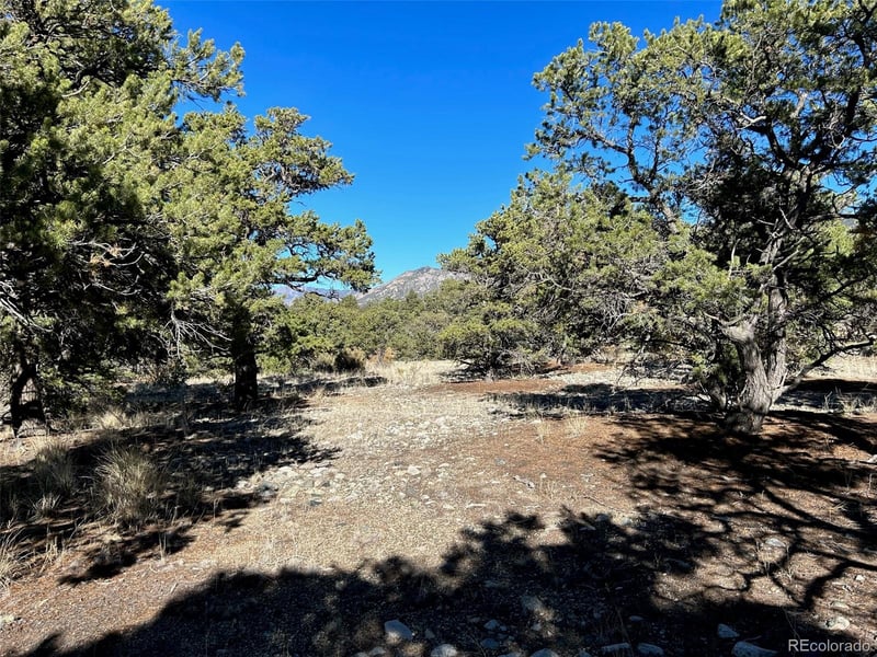 62 Mill Rn, Alamosa, CO 81101