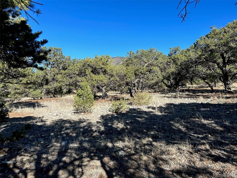 62 Mill Rn, Alamosa, CO 81101