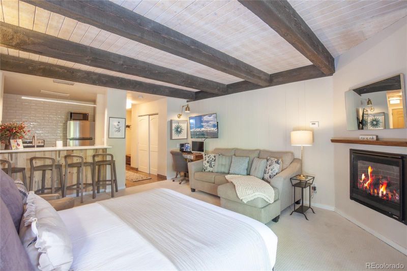 180 Broken Lance Dr #2, Breckenridge, CO 80424