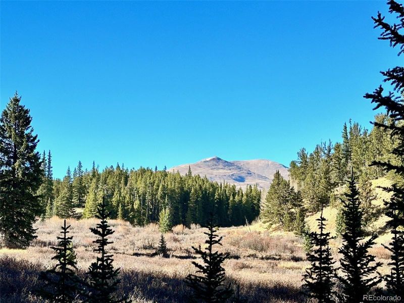 242 Pine Ridge Rd, Alma, CO 80420