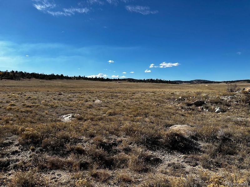 455 Quintis Lee Ln, Hartsel, CO 80449