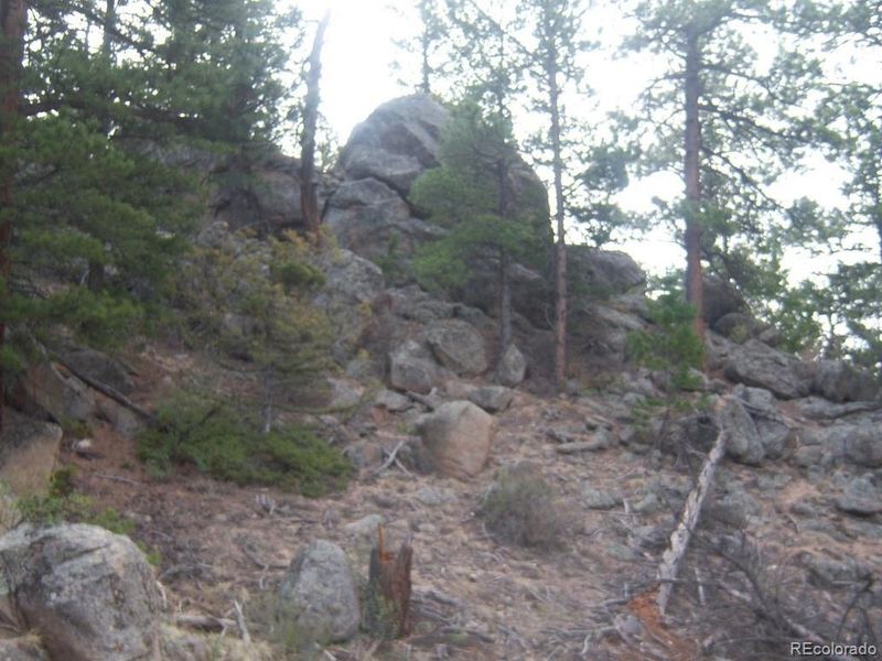 287 Pinyon Trl, Estes Park, CO 80517