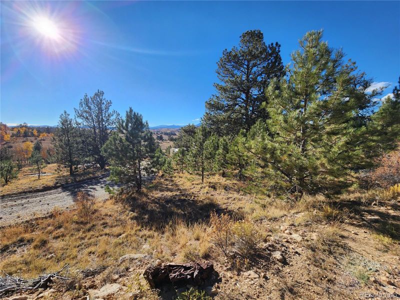 972 Cohonina Rd, Hartsel, CO 80449